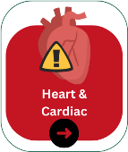 heart_cardiac